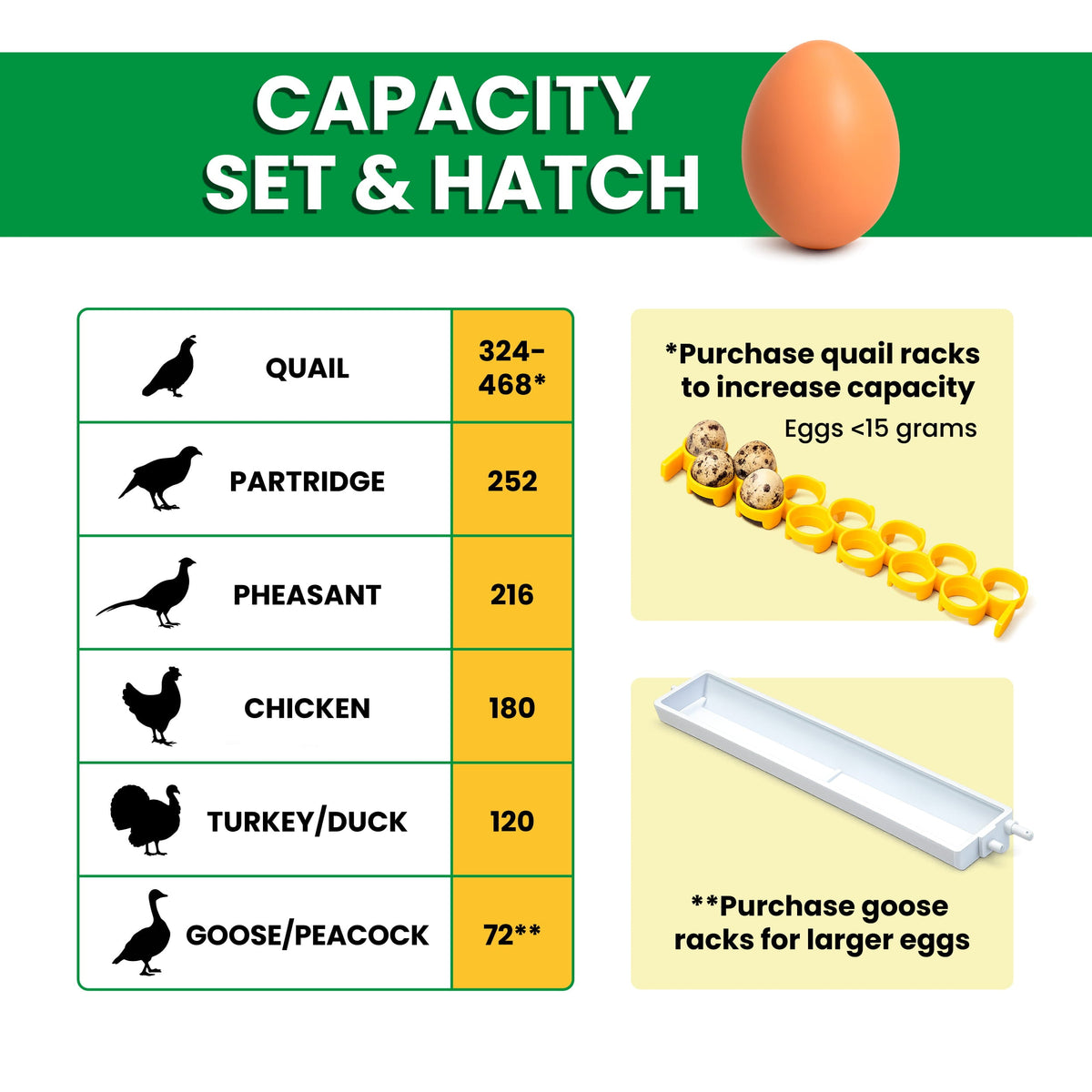CT180 SH - Egg Incubator - Setter & Hatcher