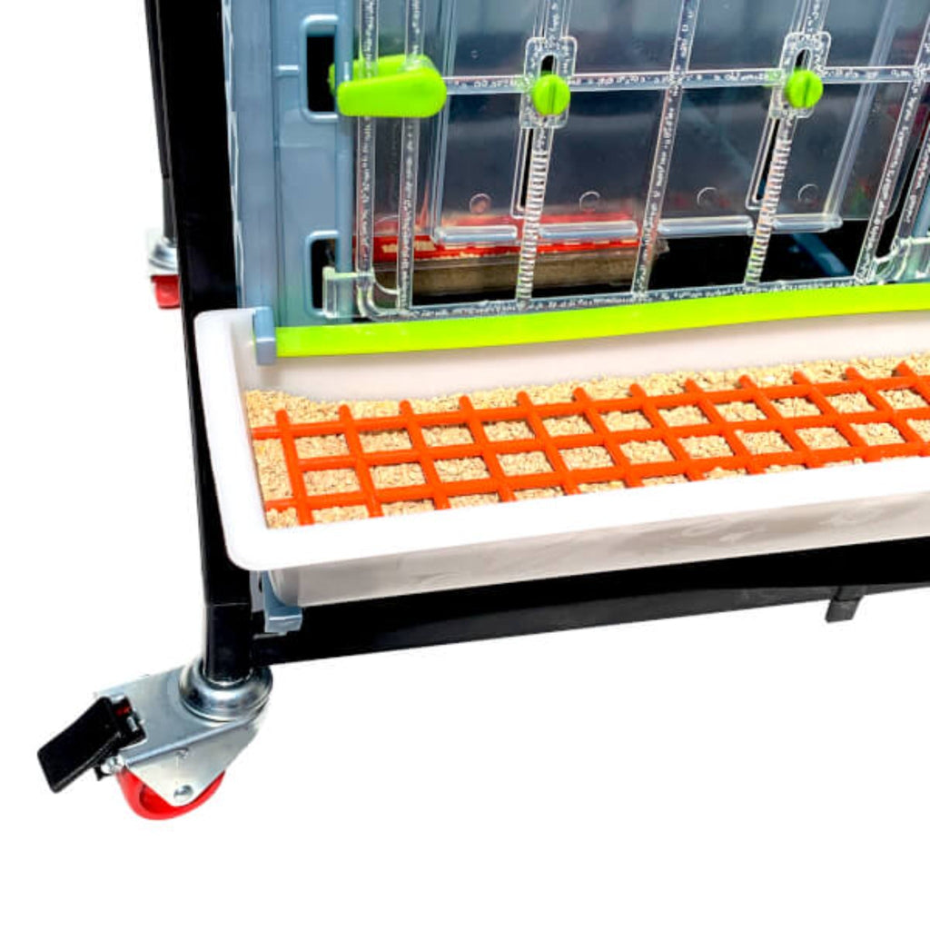 Chick Brooder - 2 Layer H: 15"