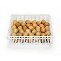 Egg Basket - 35 Eggs -(CS35Y)