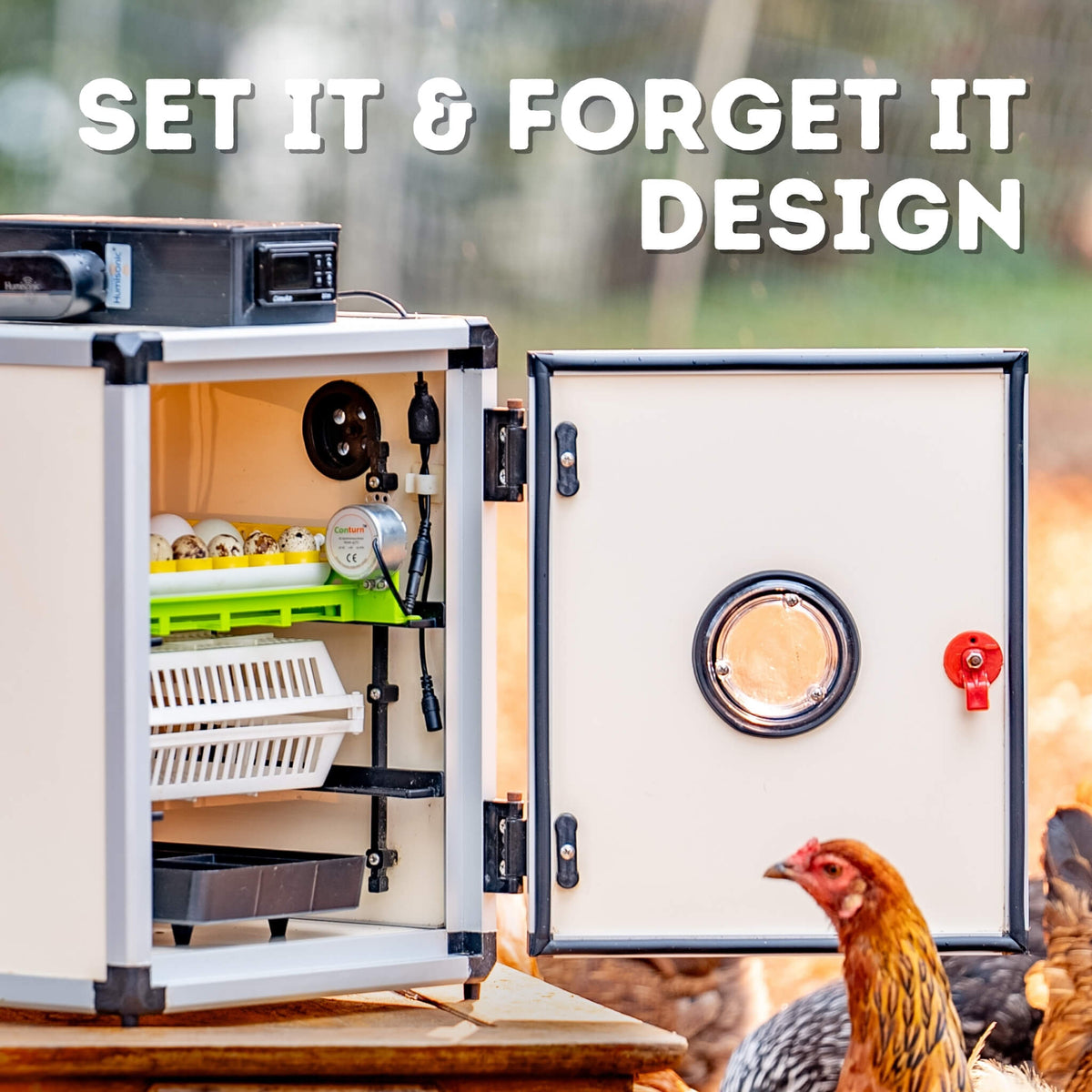 CT60 SH - Egg Incubator - Setter & Hatcher