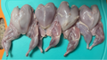 4 fresh whole quail displayed on a teal cutting board